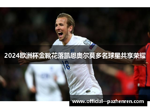 2024欧洲杯金靴花落凯恩奥尔莫多名球星共享荣耀